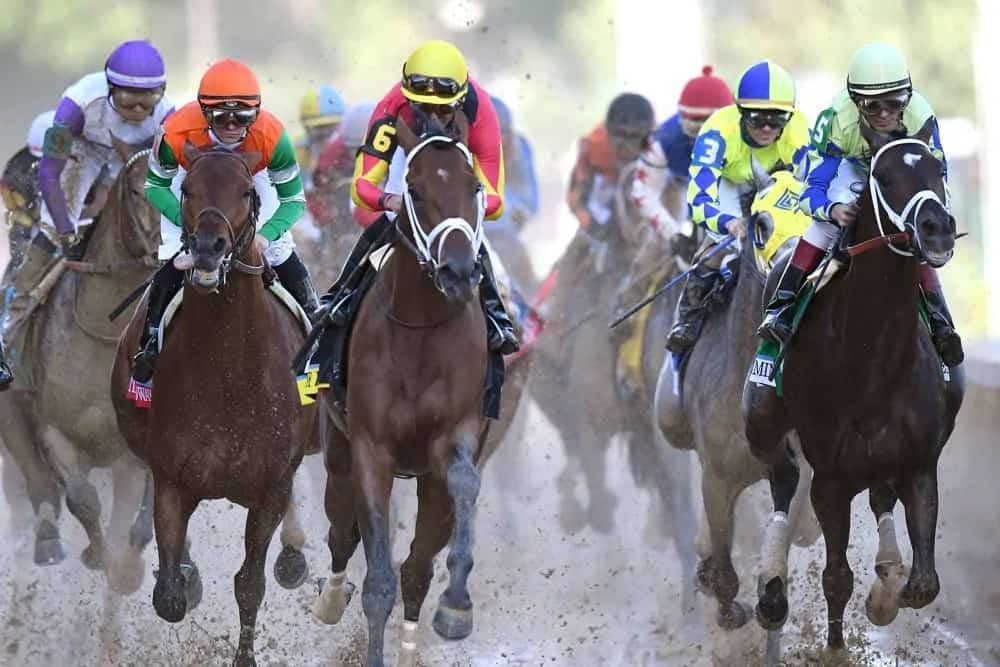 Everything You Need to Know About 2023 Belmont Stakes Bets