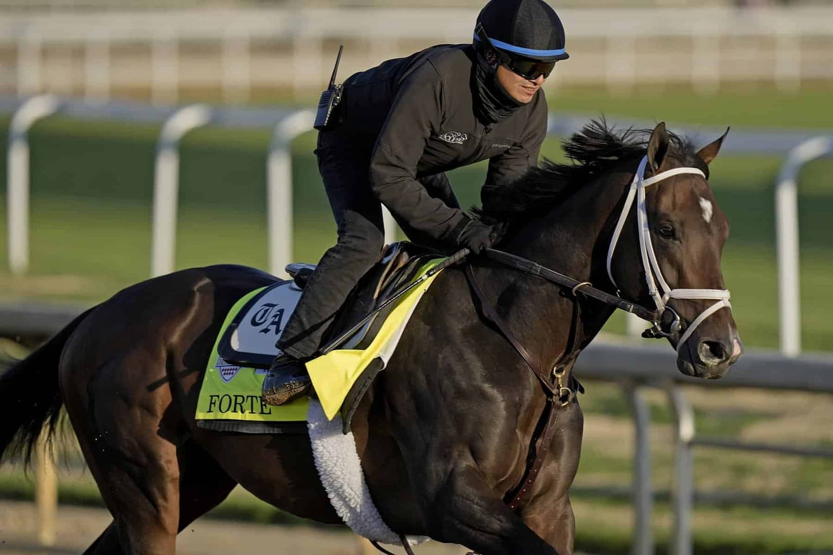 Everything You Need to Know About 2023 Kentucky Derby Bets